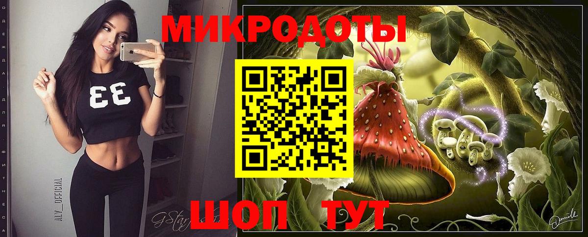 Псилоцибиновые грибы Psilocybine cubensis Скопин