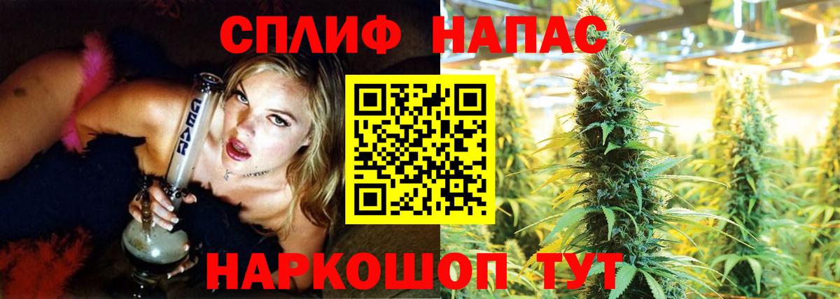 Бошки Шишки MAZAR  Конопля сатива  Конопля THC 21%  Скопин  Вход с VPN 